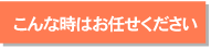 Ȏ͂C